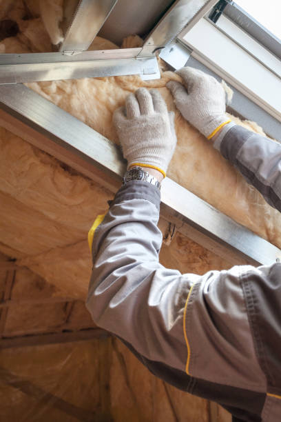 Best Commercial Insulation in Nassau Bay, TX