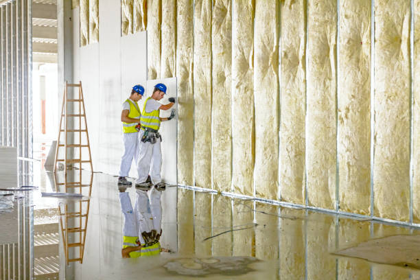 Best Insulation Materials and Products in Nassau Bay, TX